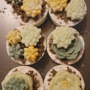 Artisan Succulent Plan Bath Bombs